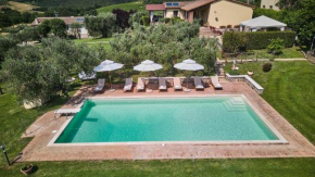 Il Passo Degli Ulivi Civitella-Paganico